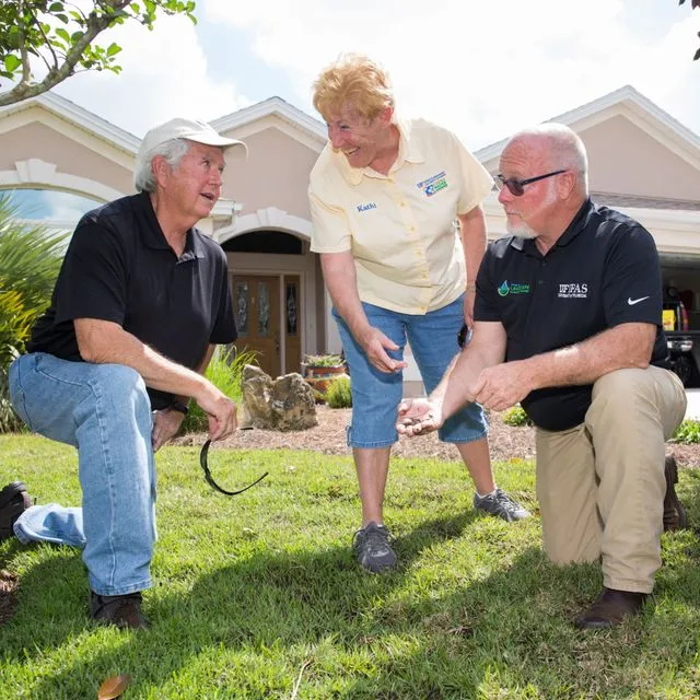 thumbnail for publication: Selecting a Turfgrass for Florida Lawns